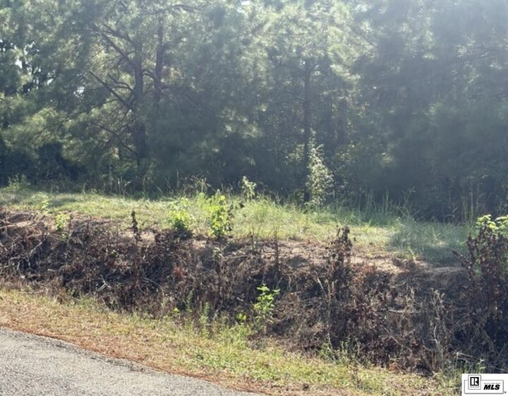 Property Photo:  0 William Harris Road  LA 71292 