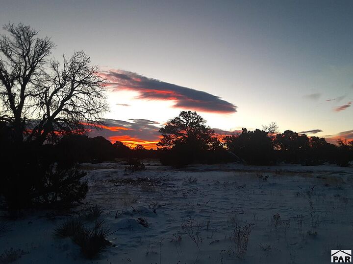 Property Photo: 58 Acres County Rd 510 CO 81089
