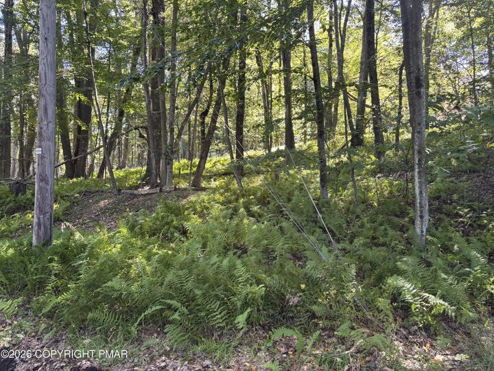 Property Photo: Ski Trail 32 PA 18347