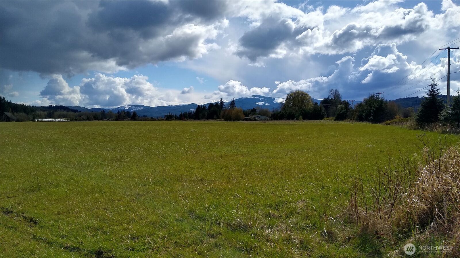 Property Photo:  559 08  Boistfort Rd  WA 98538 