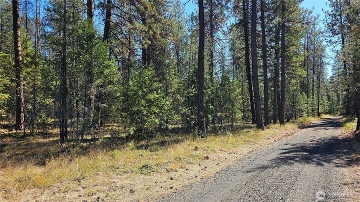 Property Photo:  385 X  Agar Road  WA 99148 