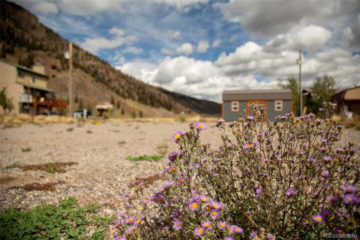 Property Photo:  115 Trout Court  CO 81130 