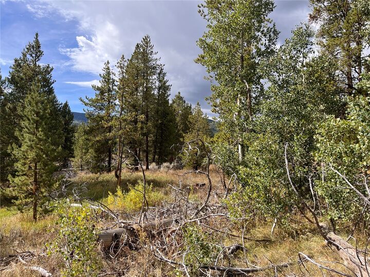 Property Photo: 20490 Silver Bit Trail CO 80467