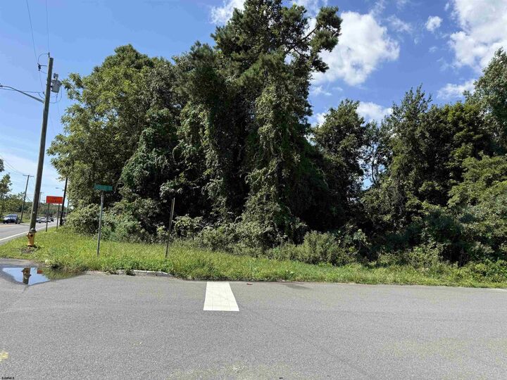Property Photo:  Maple Rd  NJ 08201 