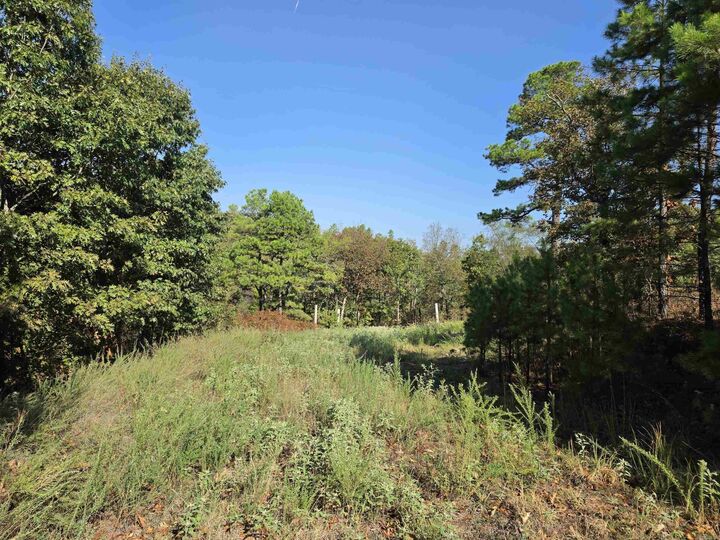 Property Photo:  457 Polk Road 412  AR 71953 