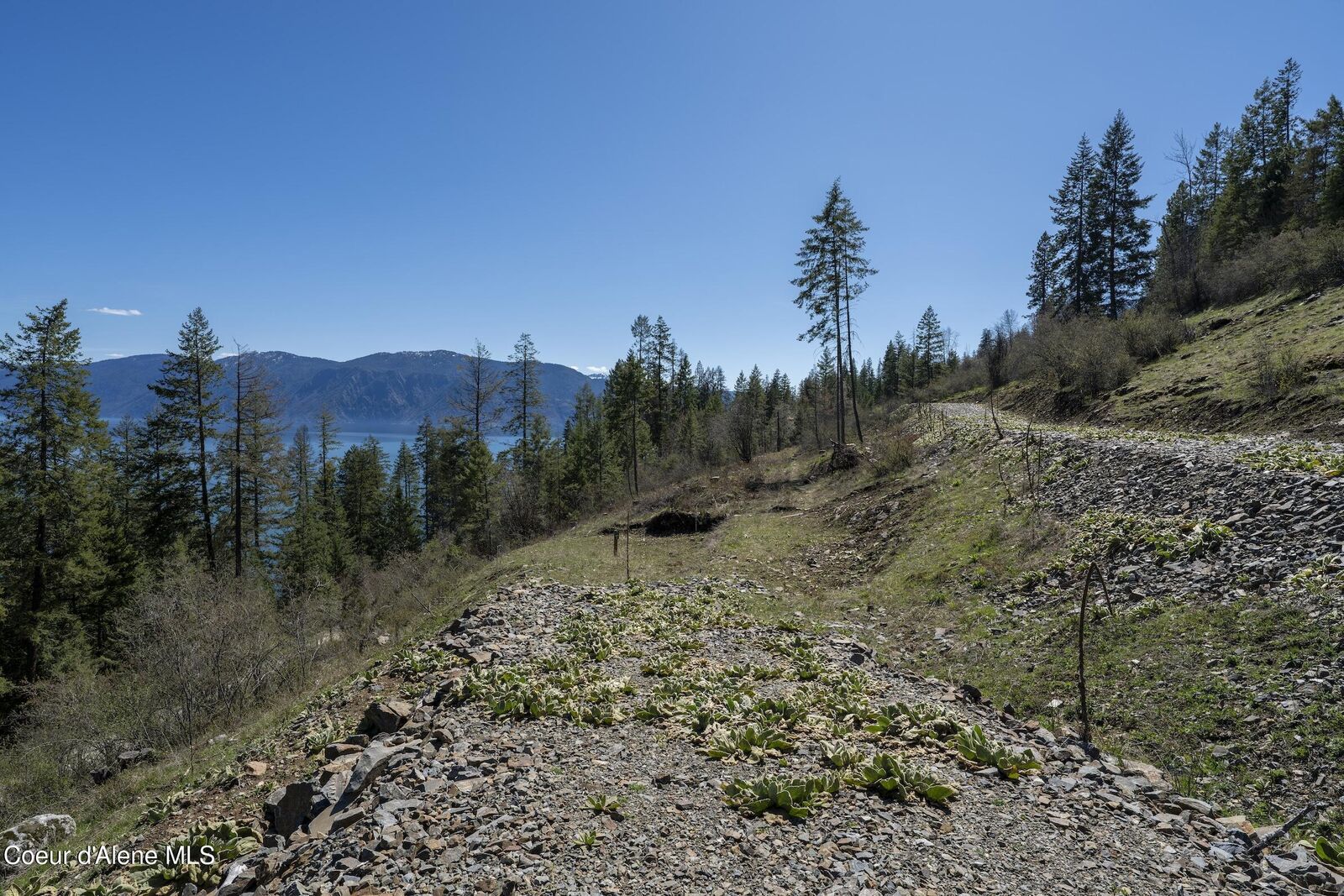 Property Photo:  531 Midas Dr  ID 83860 