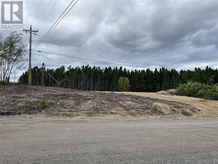 Property Photo:  10 Northside Road  NL A0G 1Z0 