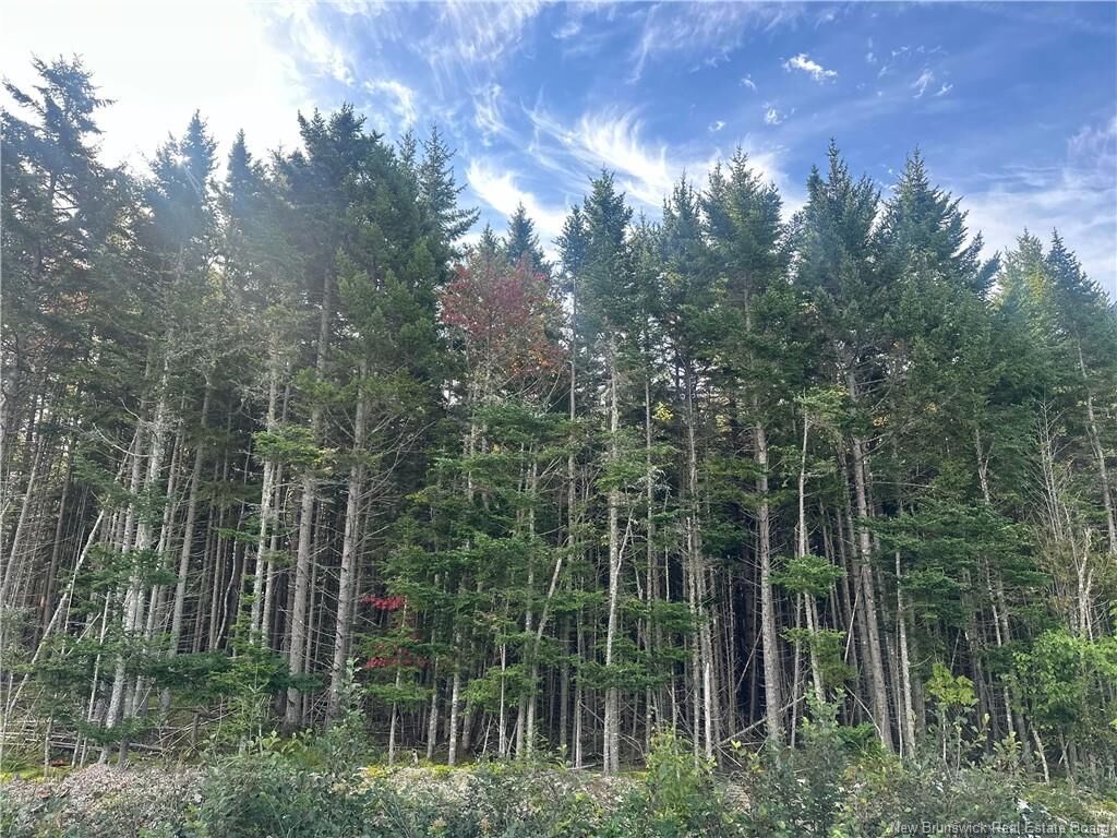 Property Photo:  60 Kimberly Street  NB E2N 0B3 
