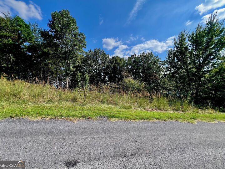 Property Photo:  T7 Talona Mountain Road  GA 30536 