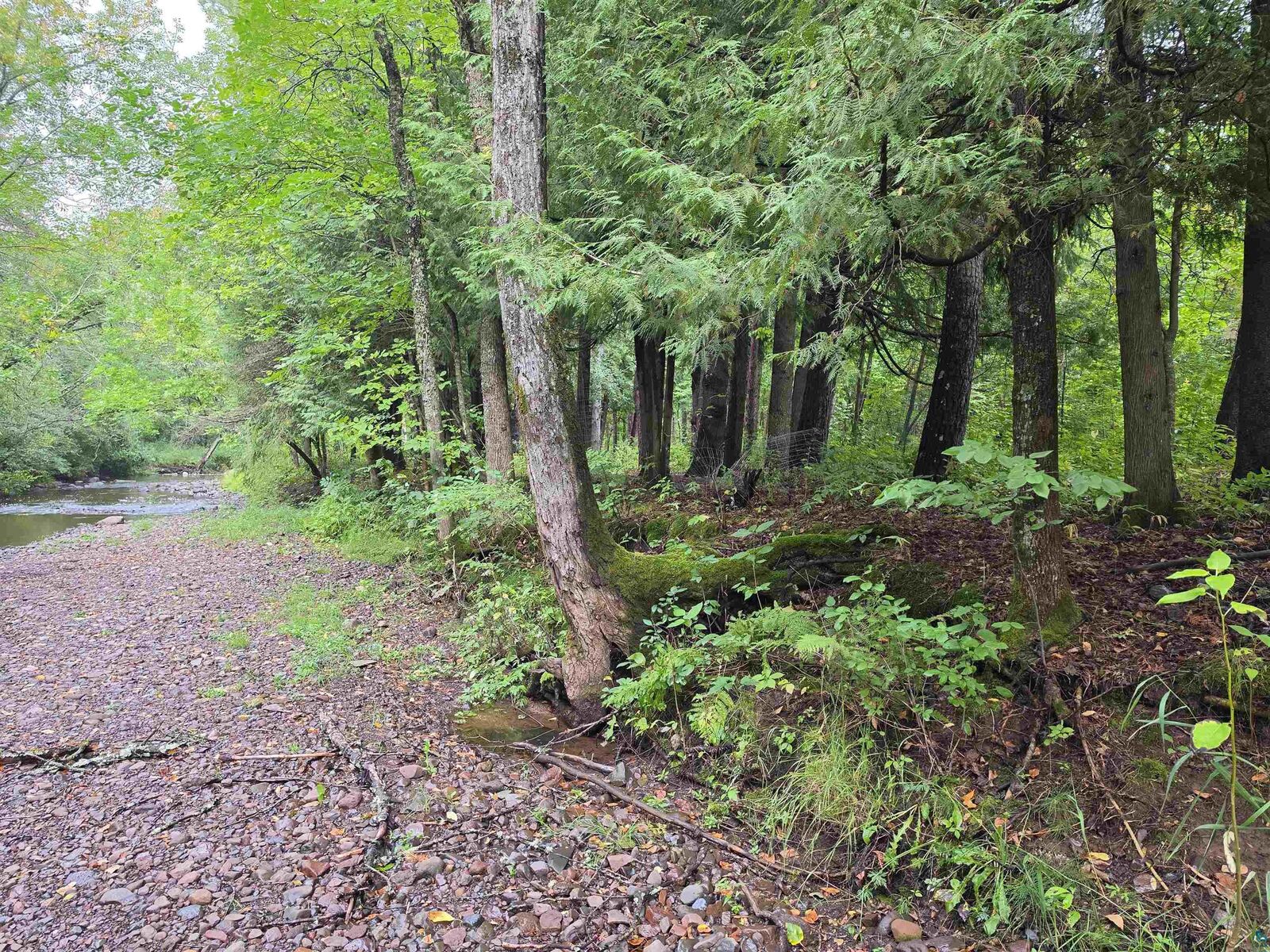 Property Photo:  609X Bergquist Rd  MN 55804 