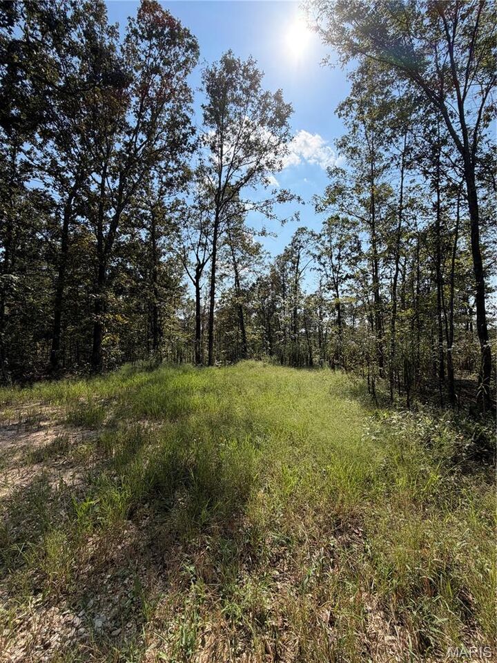 Property Photo: 76 Garfield Dr MO 63787