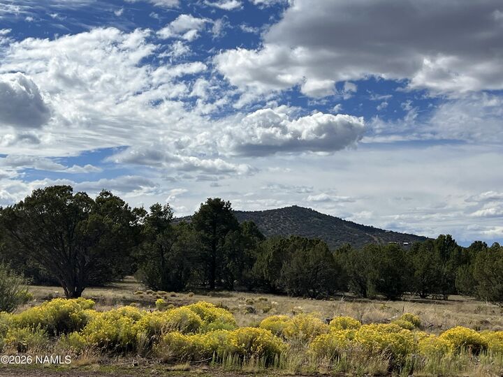 Property Photo:  7197 N Red Lake Road  AZ 86046 