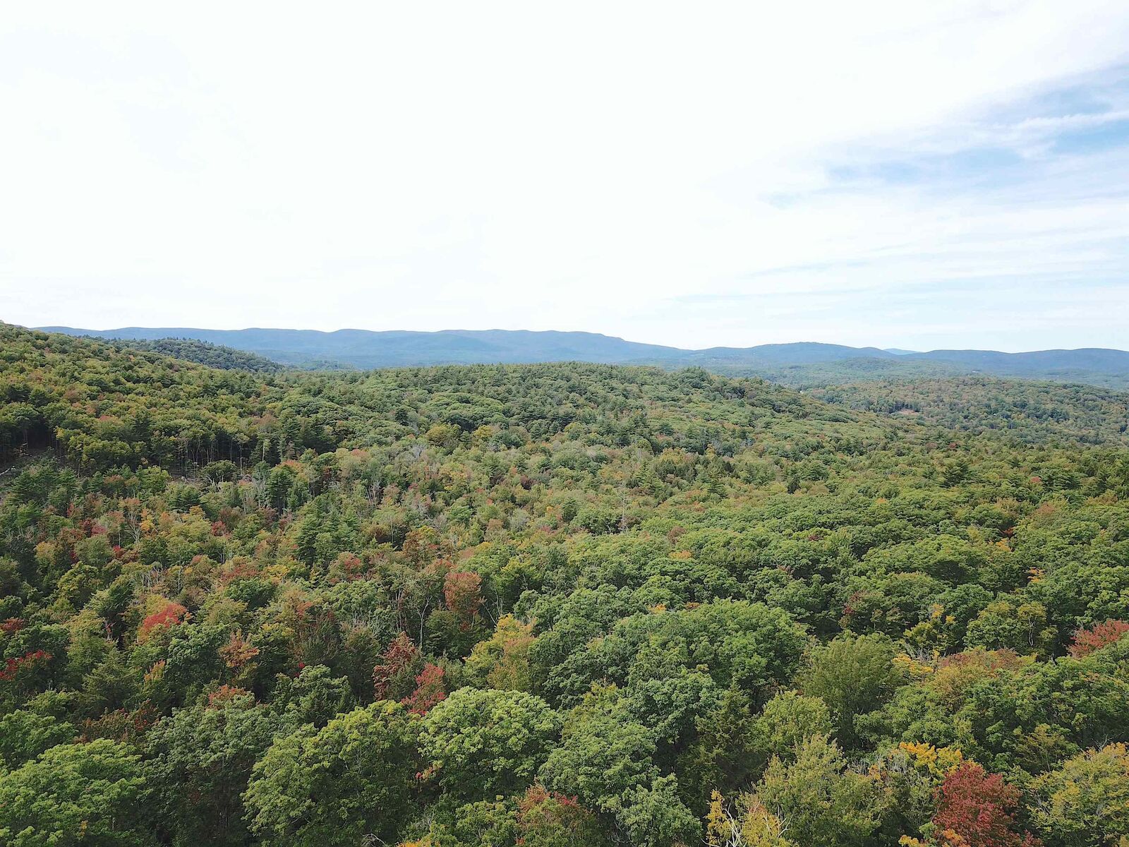 Property Photo: 217 Horne NH 03278