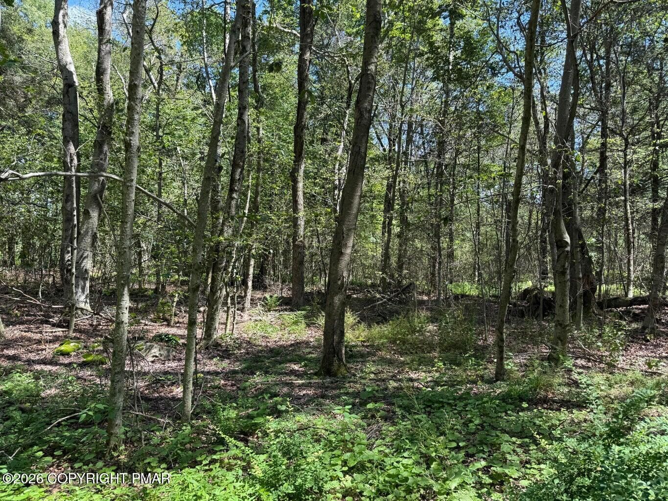 Property Photo: 20 Wildbrook Drive PA 18445