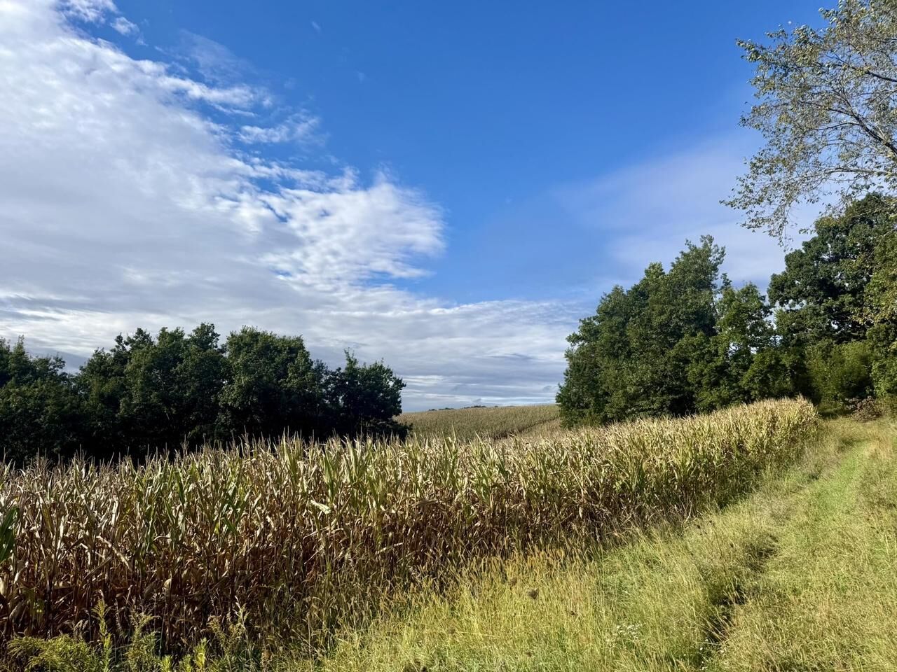 Property Photo:  15 Acres Ozone Road  WI 53929 