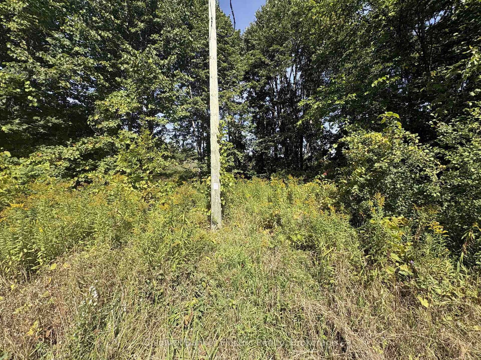 Property Photo:  00 Ingham Road (Lot 2 - East) N/A  ON K0K 1C0 
