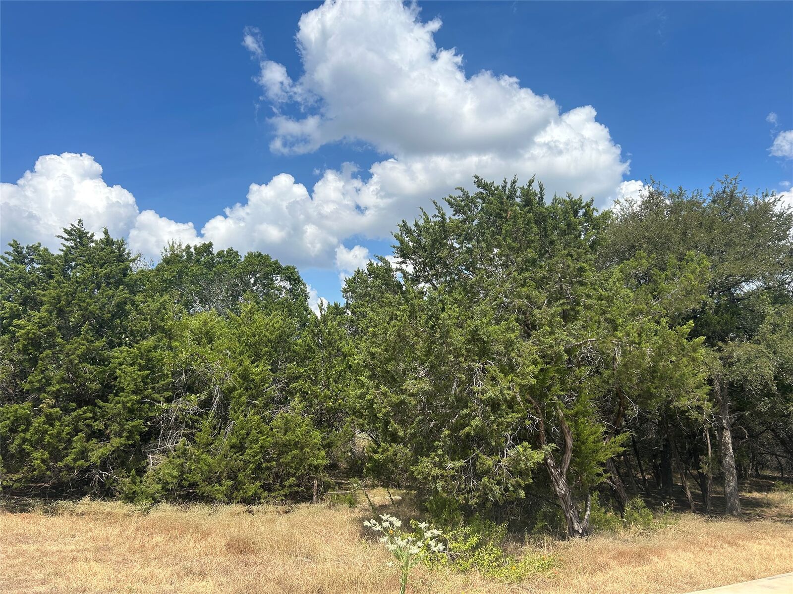 Property Photo:  74 Deer Ridge Road  TX 78676 