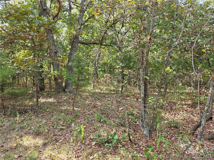 Property Photo: Araskog Drive 3203, 3204, 3205, 3206 MO 65326