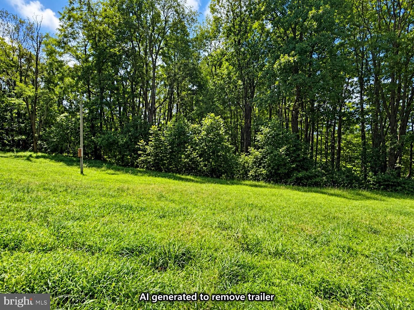 Property Photo:  270 Retriever Road  WV 26287 