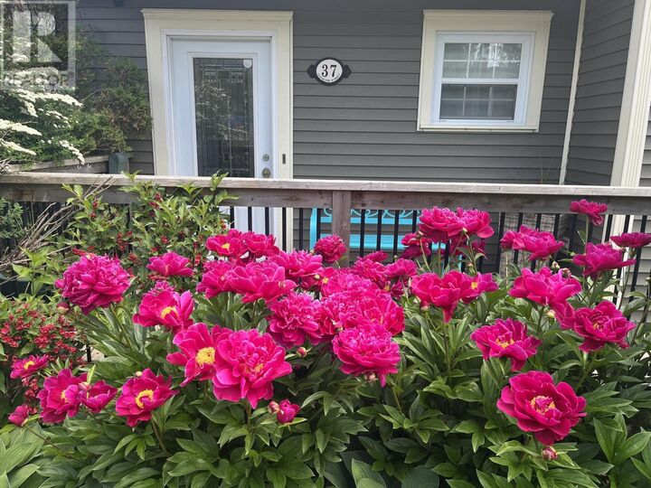 Property Photo:  37 Gleneyre Street  NL A1A 2M8 