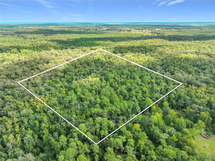 Property Photo: E Colonial Drive FL 32709