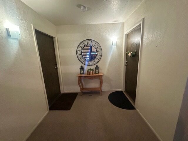Property Photo: 109 Sussex Circle C1 IL 60193