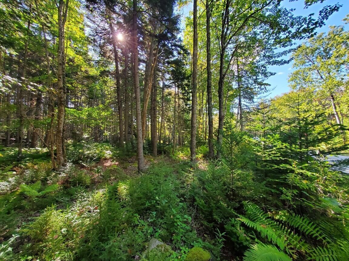 Property Photo:  0 Reach And Folly Roads  ME 04616 