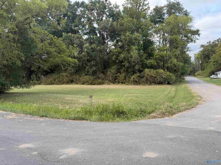 Property Photo:  0.329 Acres Betty Street  AL 35748 