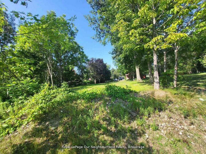 Property Photo:  221A Liberty Street N  ON L1C 2M6 