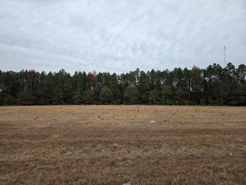 Property Photo:  118 Joe Wright Drive/New Harvest Road Lot B,  GA 31015 