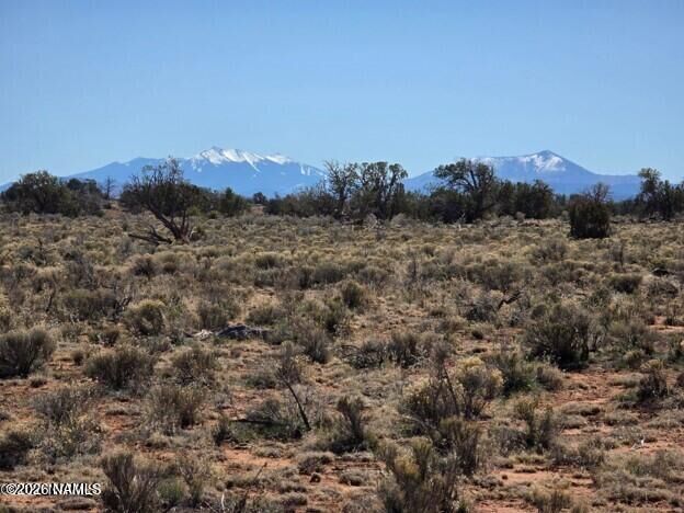 Property Photo: 8001 W Clear Fork Loop AZ 86046