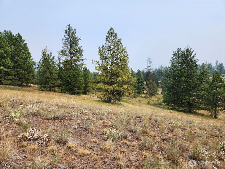 Property Photo: 0 Tbd Rose Valley Road WA 99166