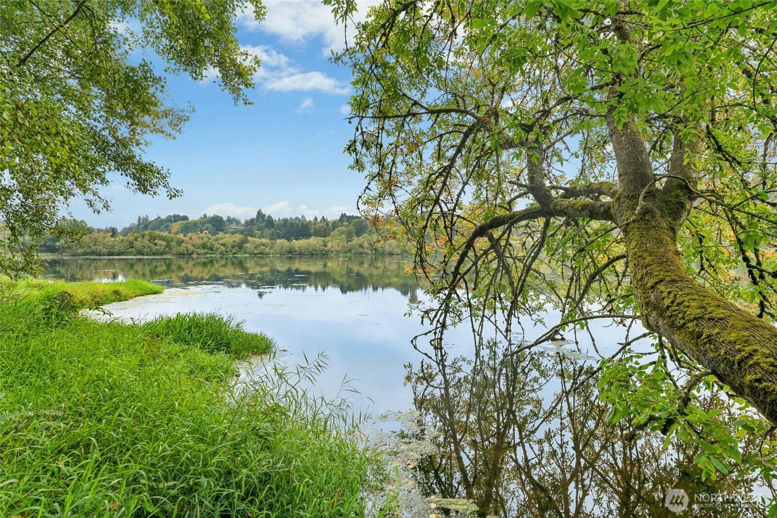 Property Photo: 315 24th Avenue SW WA 98501