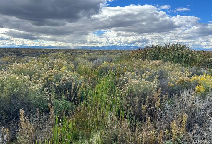 Property Photo: None Highway 17 CO 81143