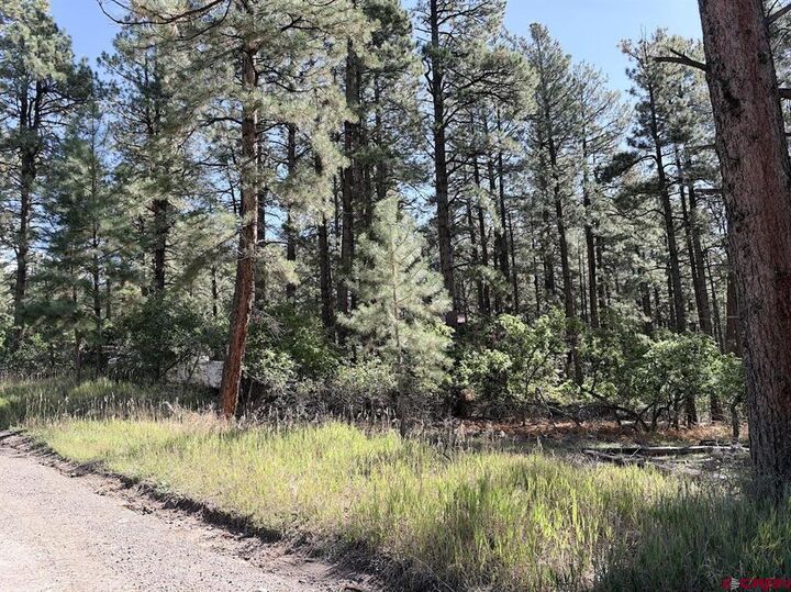 Property Photo: 332 Lake View Drive CO 81122