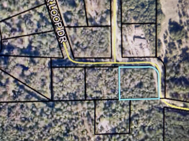Property Photo:  Tbd River Loop Drive Lot 1  FL 32536 