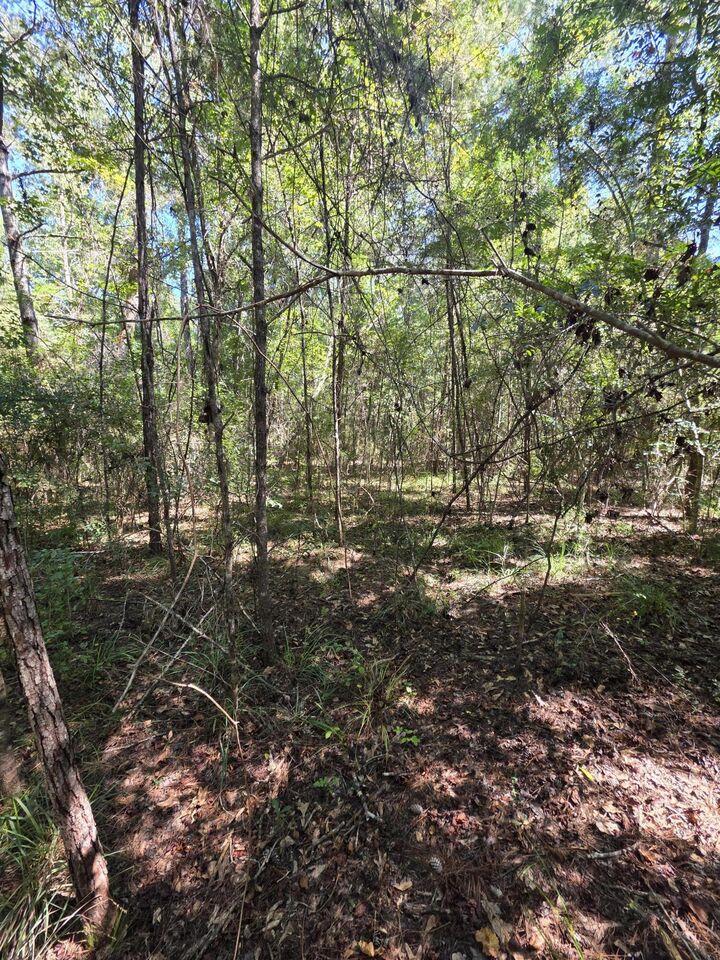 Property Photo:  Lot 1 & 2 Antioch Road  FL 32536 