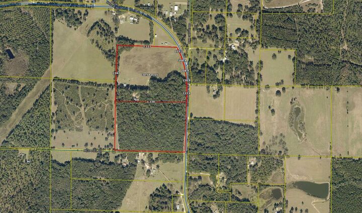 Property Photo:  30 +/- Ac E County Highway 181  FL 32464 