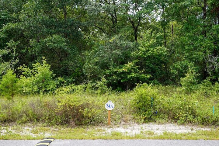 Property Photo: Lot 24 Hibernate Way FL 32439