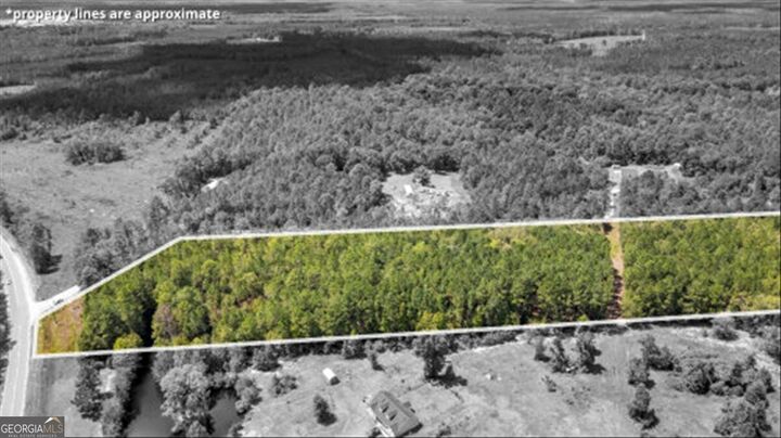 Property Photo: 15.5 Ac Elim Church Road NE GA 31316