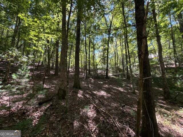Property Photo:  305 Seneca Drive  GA 30540 