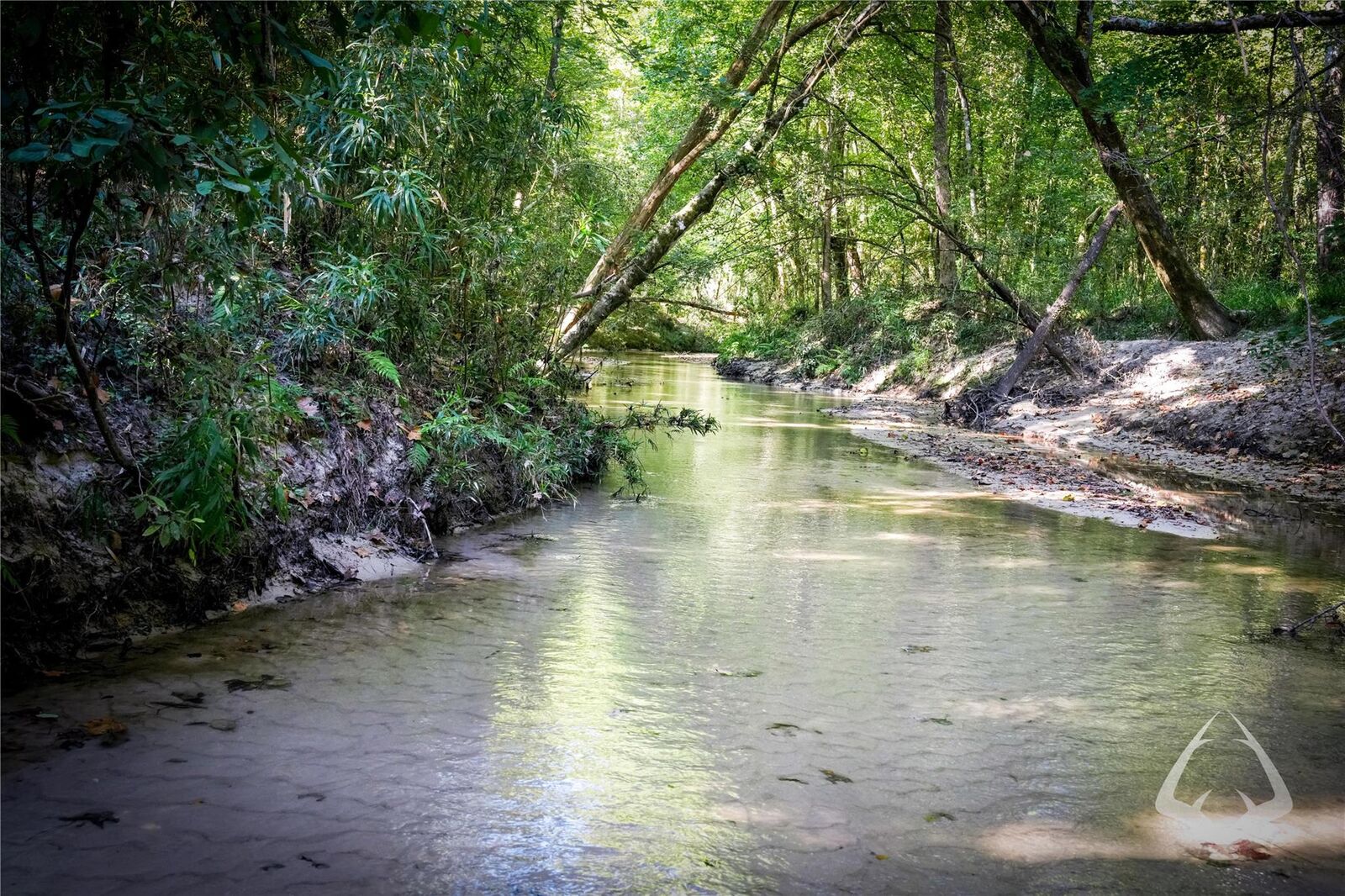 Property Photo:  00 County Road 3725  TX 75938 
