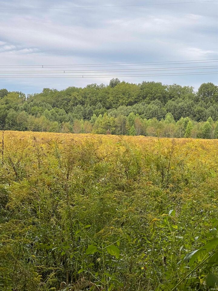 Property Photo:  0 County Line Road  IN 46552 