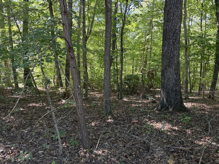Property Photo:  0 E Taxiway Drive Lot 17  KY 42602 
