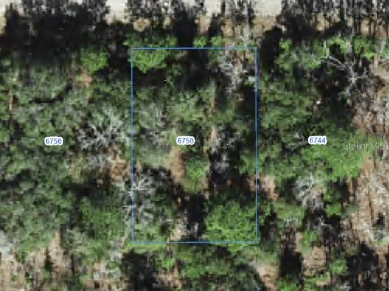 Property Photo:  6750 N Darlington Drive  FL 34434 