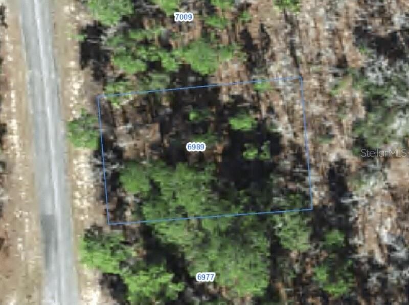 Property Photo:  6989 N Foxdale Drive  FL 34434 
