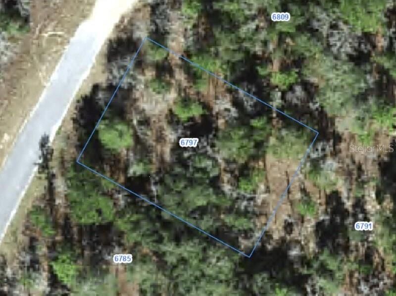 Property Photo: 6797 N Waterfall Terrace FL 34434