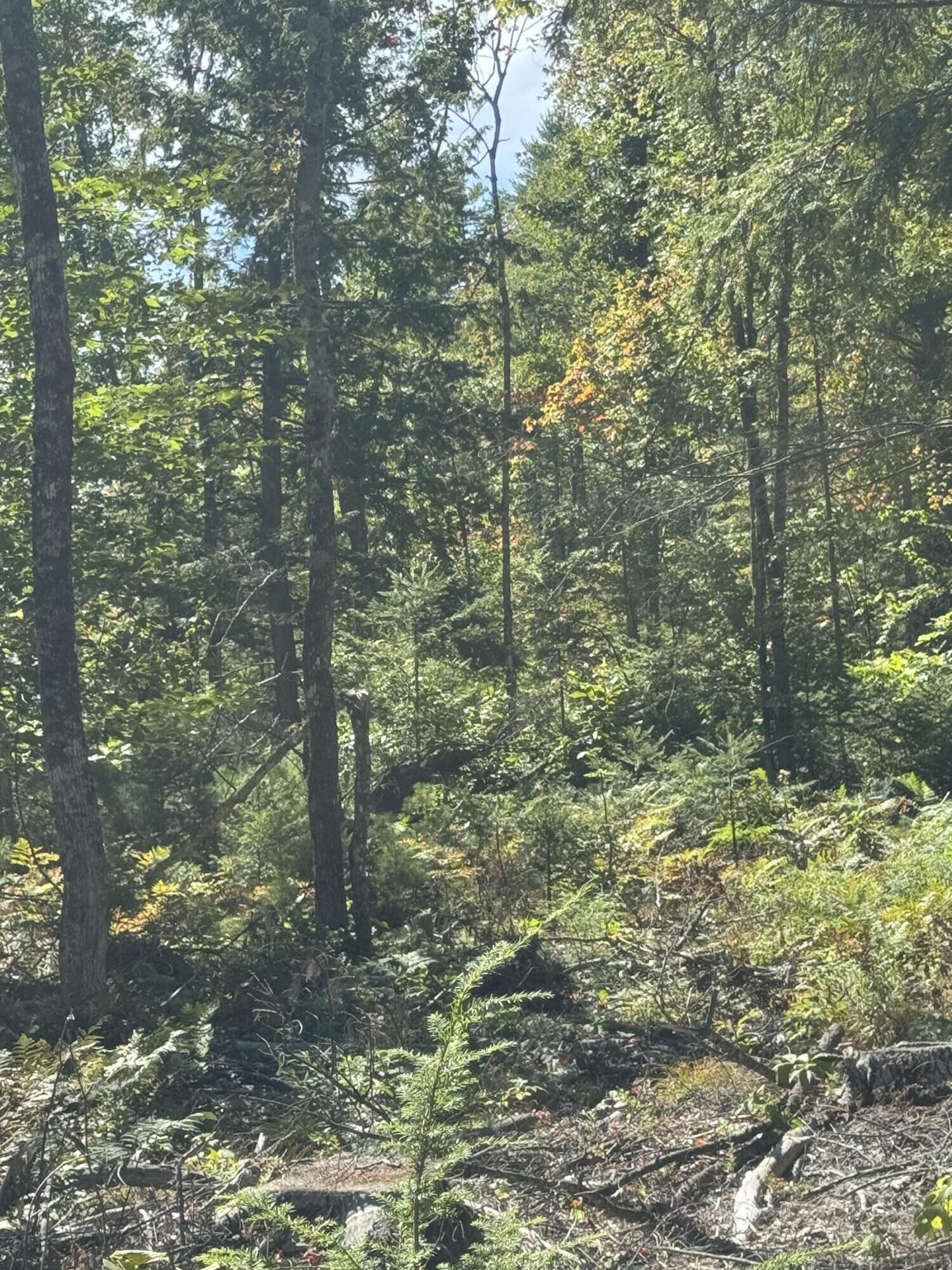 Property Photo: Lot 31-I Old Waterford Road ME 04051