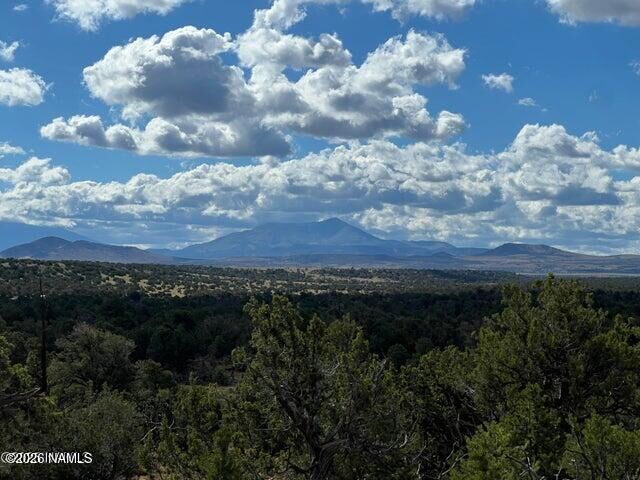 Property Photo: 1282 Watchtower, Lot A - 12 Ac AZ 86046