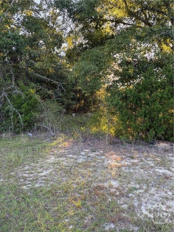 Property Photo:  0 Hwy 1 N  GA 30401 